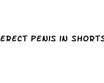erect penis in shorts