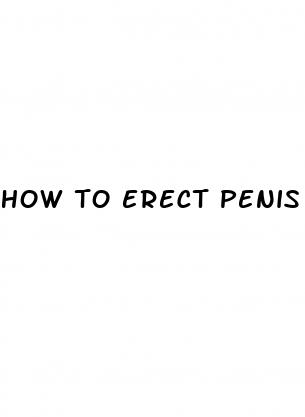 how to erect penis before sex