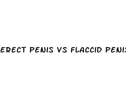 erect penis vs flaccid penis