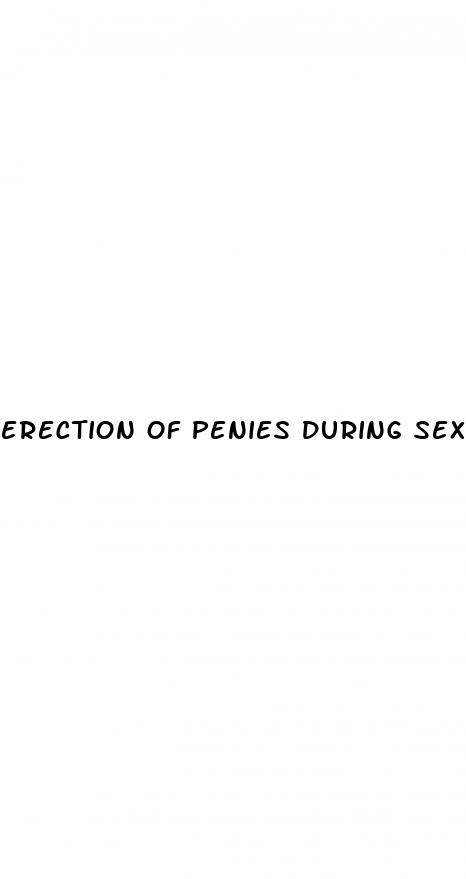 erection of penies during sex