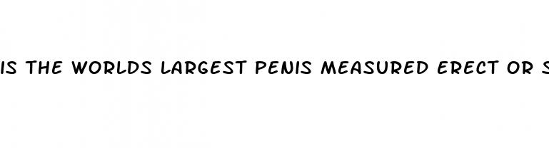 is the worlds largest penis measured erect or soft