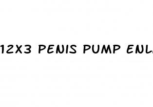 12x3 penis pump enlarger