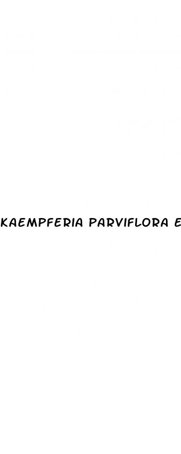 kaempferia parviflora extract capsules