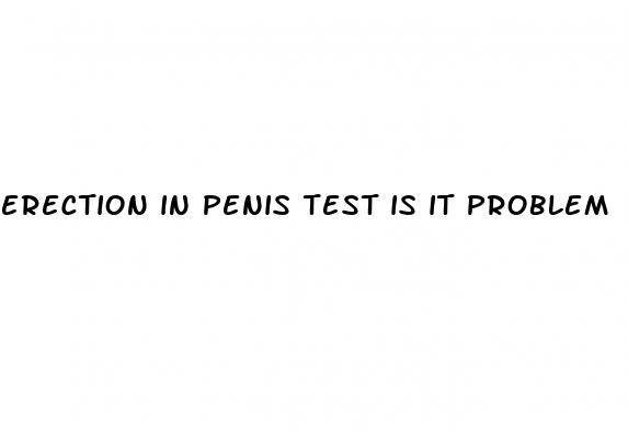 erection in penis test is it problem