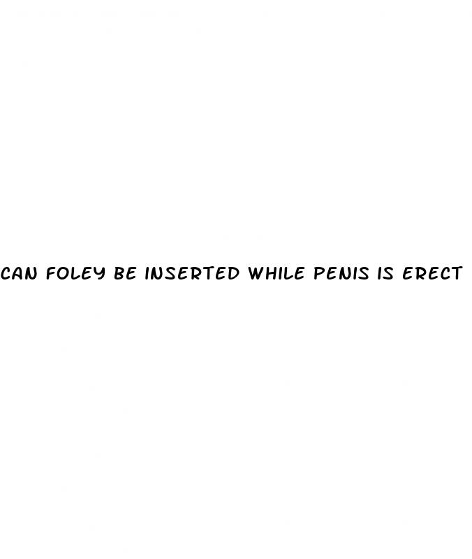 can foley be inserted while penis is erect