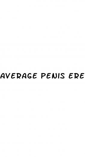 average penis erection size