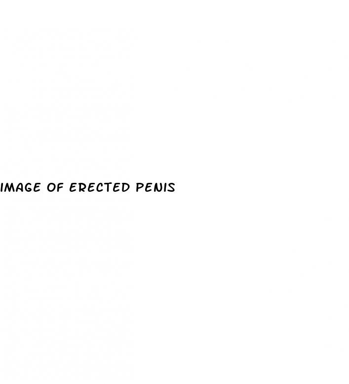 image of erected penis