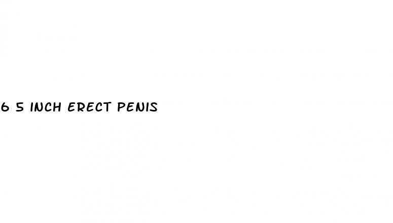 6 5 inch erect penis