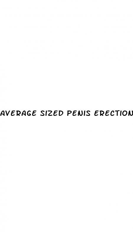 average sized penis erections