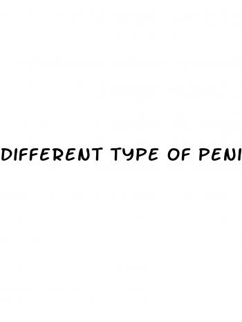 different type of penis erection