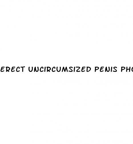 erect uncircumsized penis photo