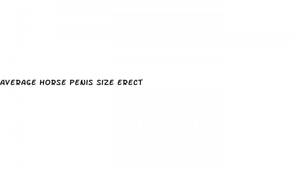 average horse penis size erect