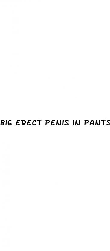 big erect penis in pants