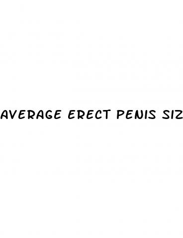 average erect penis size for a 17years old boy