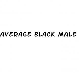 average black male penis length
