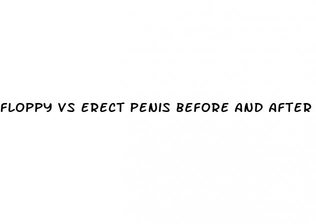 floppy vs erect penis before and after