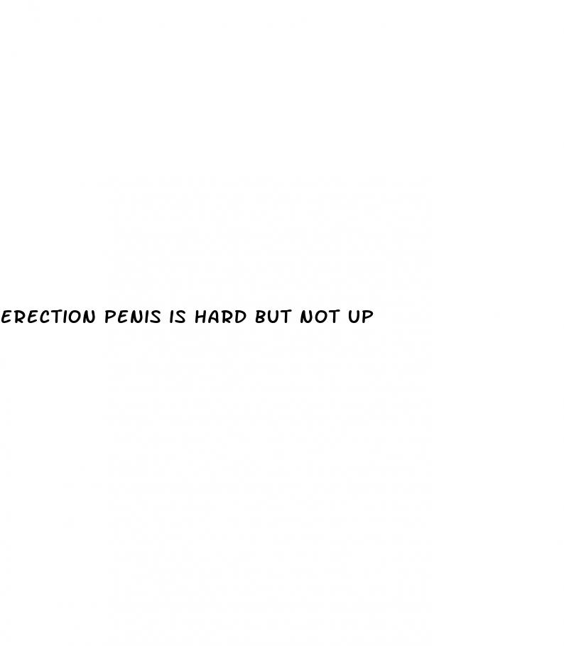 erection penis is hard but not up