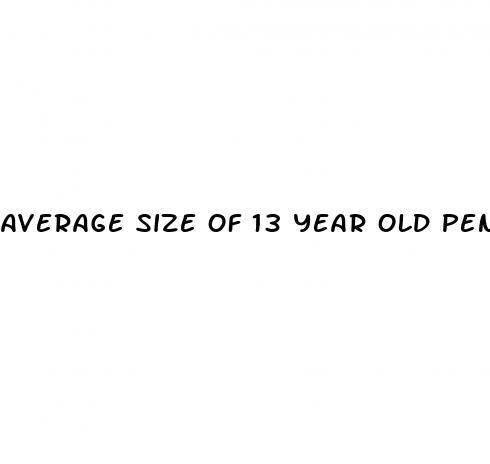 average size of 13 year old penis erect
