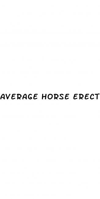 average horse erect penis size