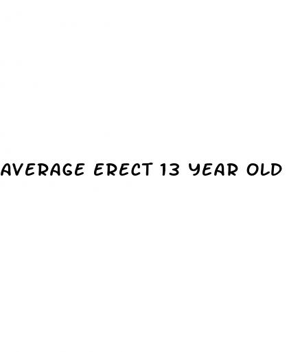 average erect 13 year old penis size