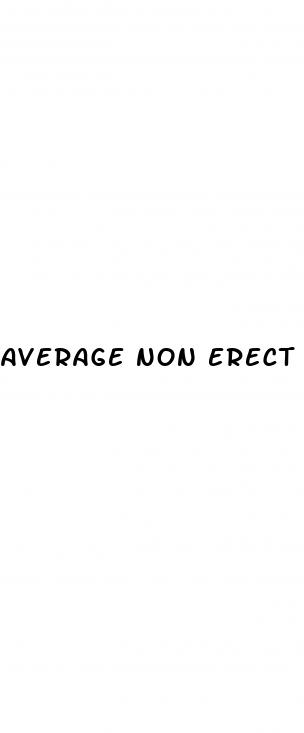 average non erect penis