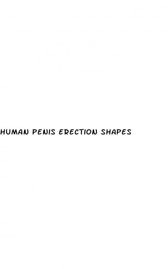human penis erection shapes