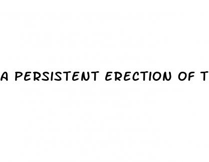 a persistent erection of the penis is called a