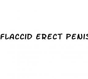flaccid erect penis comparison