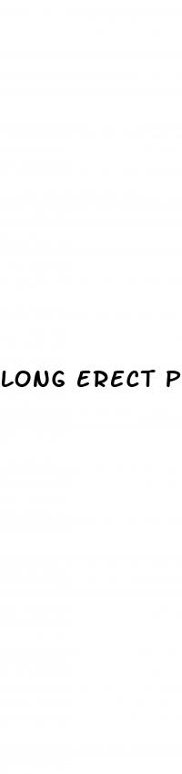 long erect penis 0