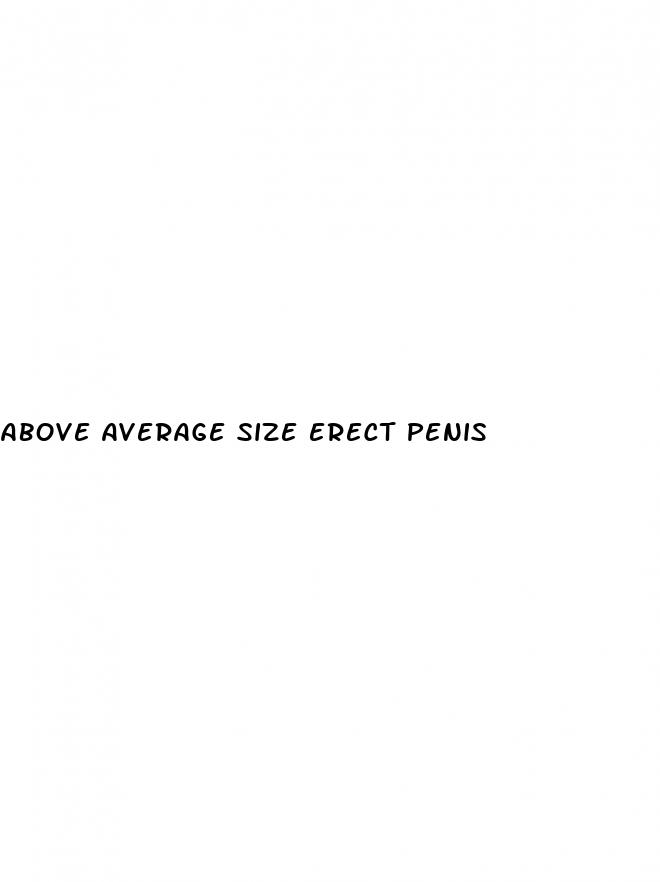 above average size erect penis
