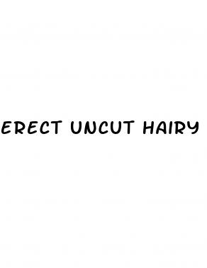 erect uncut hairy twink penis