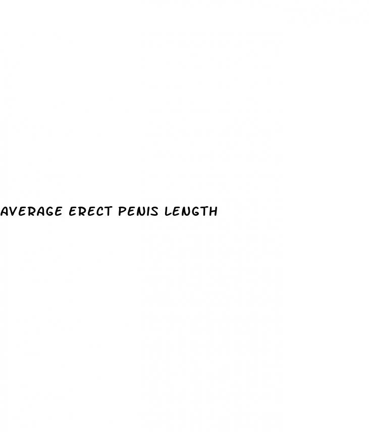 average erect penis length