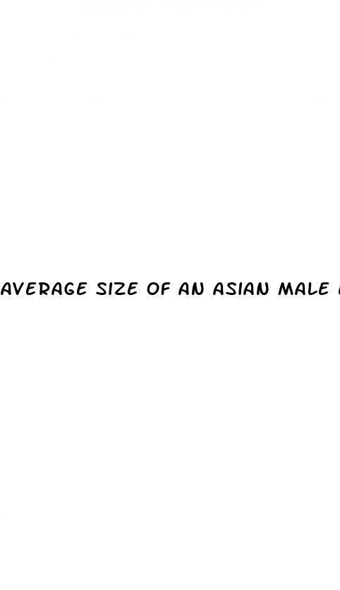 average size of an asian male erected penis