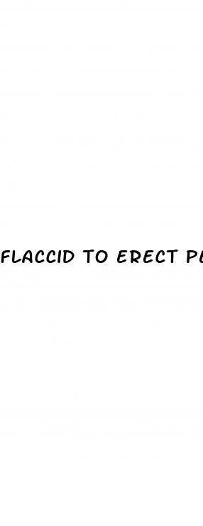 flaccid to erect penis pics