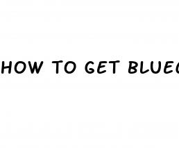 how to get bluechew