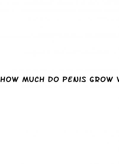 how much do penis grow when erect