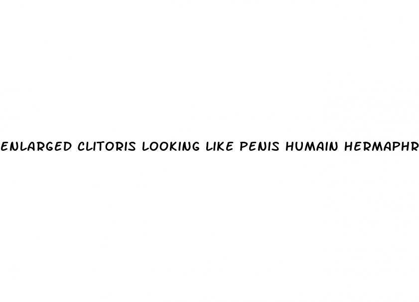 enlarged clitoris looking like penis humain hermaphrodite picture