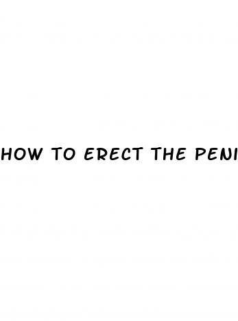 how to erect the penis