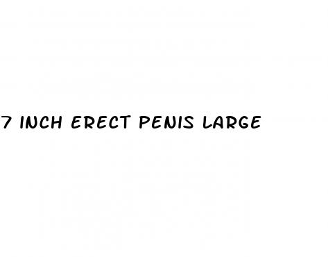 7 inch erect penis large