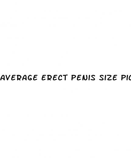 average erect penis size picture