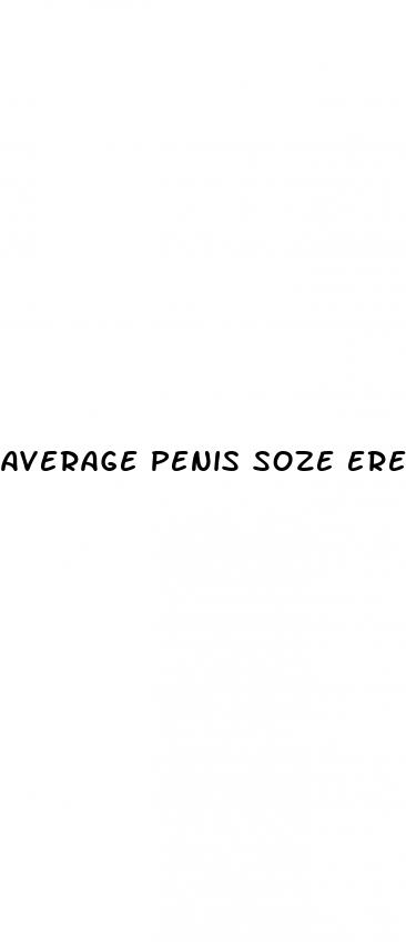 average penis soze erect