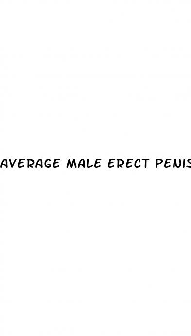 average male erect penis