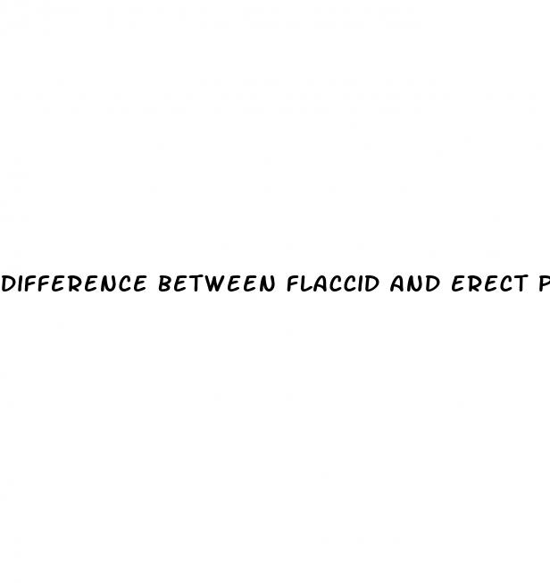 difference between flaccid and erect penis