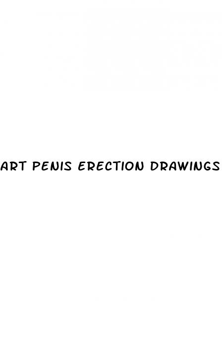art penis erection drawings