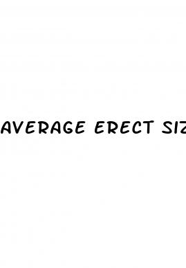 average erect size of a penis