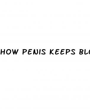how penis keeps blood during erection