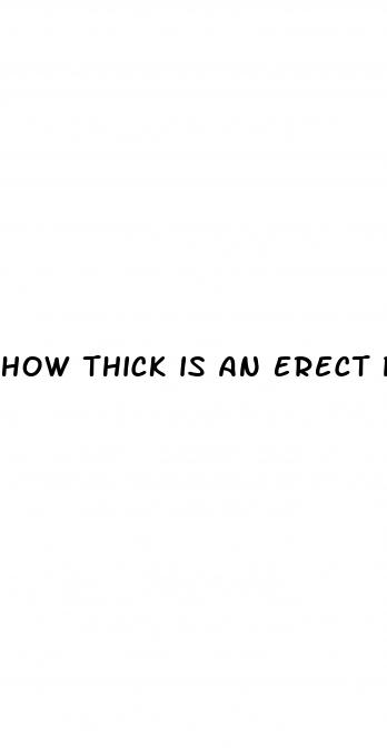 how thick is an erect penis