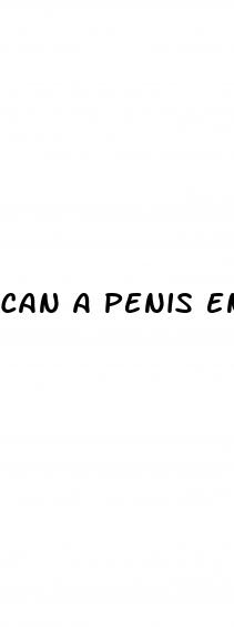can a penis enter vagina when it is not erect