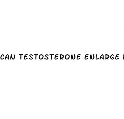 can testosterone enlarge penis