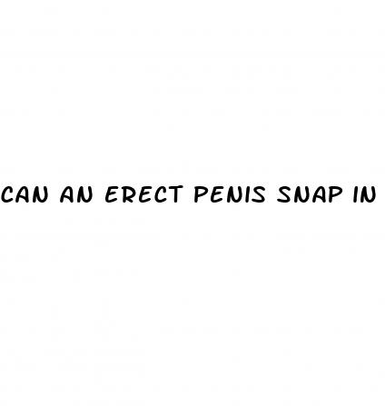 can an erect penis snap in half
